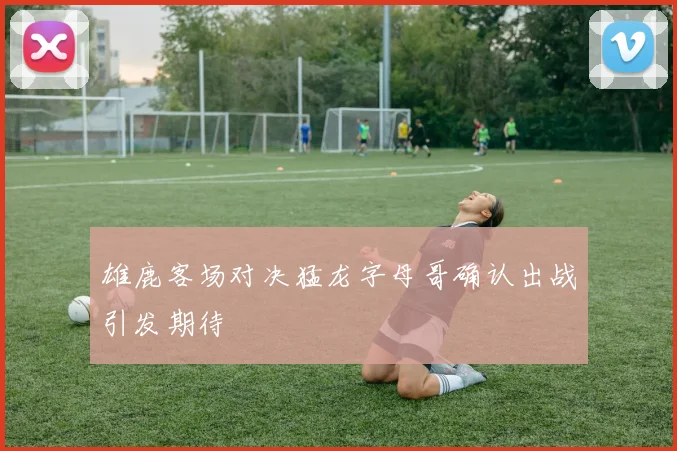 雄鹿客场对决猛龙字母哥确认出战引发期待