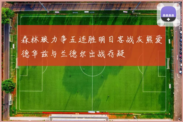 森林狼力争五连胜明日客战灰熊爱德华兹与兰德尔出战存疑