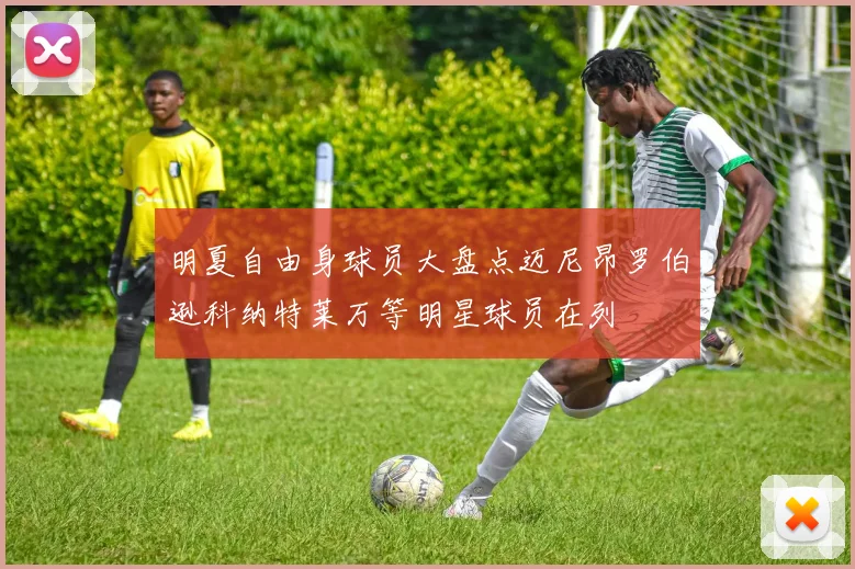 明夏自由身球员大盘点迈尼昂罗伯逊科纳特莱万等明星球员在列