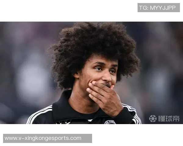 阿德耶米因非法持有武器被罚款45万欧元引发广泛关注 阿德耶米因非法持有武器被罚款45万欧元引发广泛关注