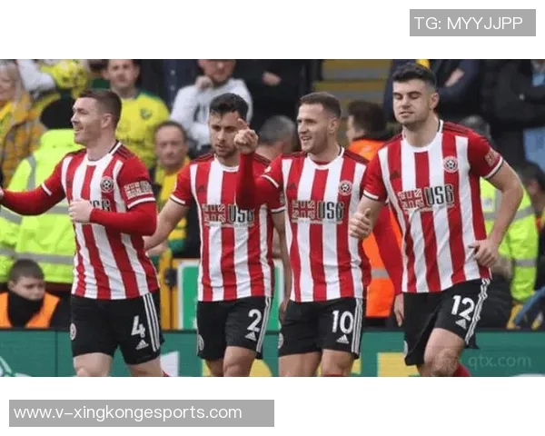 英超各队受非洲杯影响排名分析桑德兰受影响最大曼联紧随其后 英超各队受非洲杯影响排名分析桑德兰受影响最大曼联紧随其后